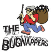 (c) Thebugnappers.com